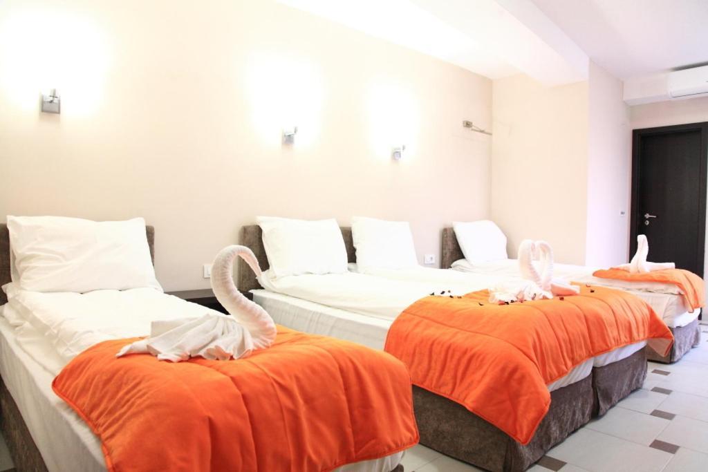 Villa Passage Ohrid Rum bild